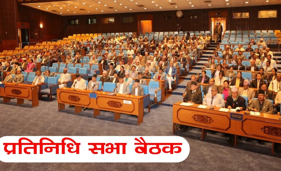 प्रतिनिधि सभा बैठक (लाइभ)