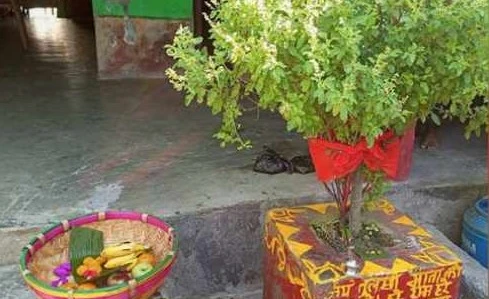 आज हरिबोधनी एकादशी अर्थात् ठुलो एकादशी
