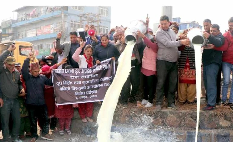 दुग्ध सहकारी सङ्घ र सरकारबिच  शनिबार पाँच बुँदे सहमति,आन्दोलन स्थगित
