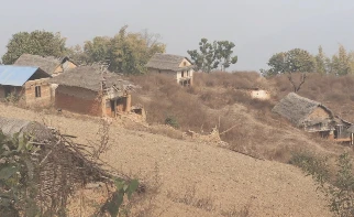 बाँदर आतङ्कले बसाइँसराइ बढ्दा बस्ती नै खण्डहर