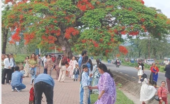 ढकमक्क फुलेका गुलमोहरले पर्यटक लोभिए