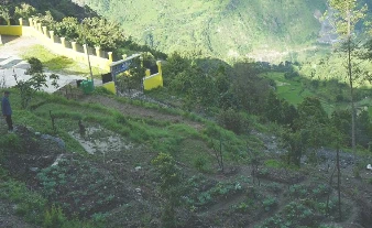 बाँझिएको पाखोबारीमा झाडी फाडेर तरकारी खेती