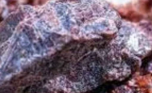 औषधीय गुण सम्पन्न बिरे नुन खानुका फाइदाहरू