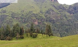 जुम्लाको धिमीचौर आन्तरिक पर्यटकीय गन्तव्य बन्दै