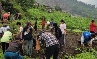 ‘धवलागिरिको इच्छा, गरिखाने शिक्षा’