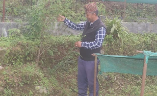 जडीबुटीखेती गरेर वार्षिक सातलाखसम्म आम्दानी लिँदै वडाध्यक्ष शेर्पा