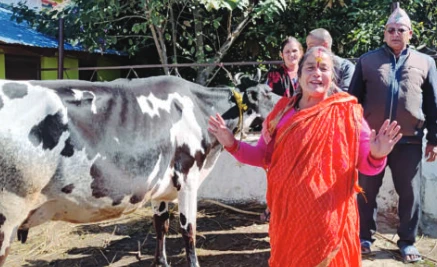 दलितको दुध किन्दा डेरी नै बन्दसमेत भएको थियो