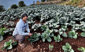 तीन दशकपछि गाउँ फर्किएका कमलप्रसाद, अब तरकारीखेतीमै नयाँ पहिचान