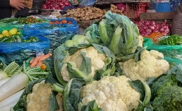 सागसब्जी र फलफूलको थोक मूल्य