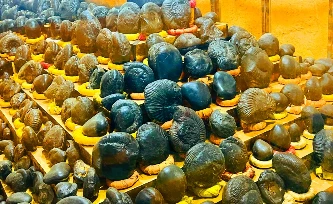  धार्मिक पर्यटकका लागि आकर्षक गन्तव्य बन्दै शालिग्राम सङ्ग्रहालय